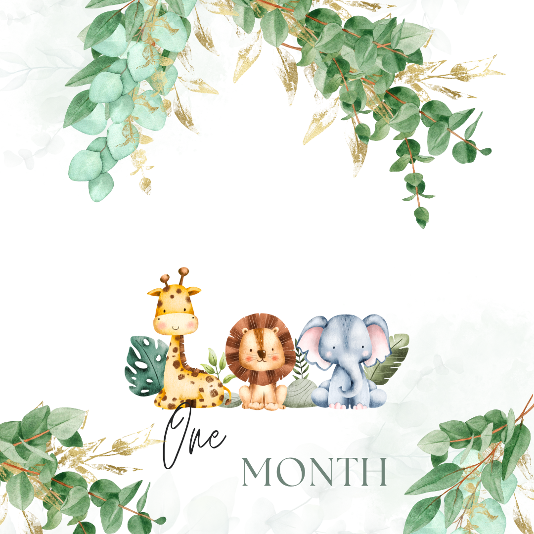 First Birthday Photo Banner
