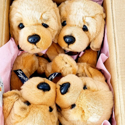 Flower girl and page boy teddies in a box